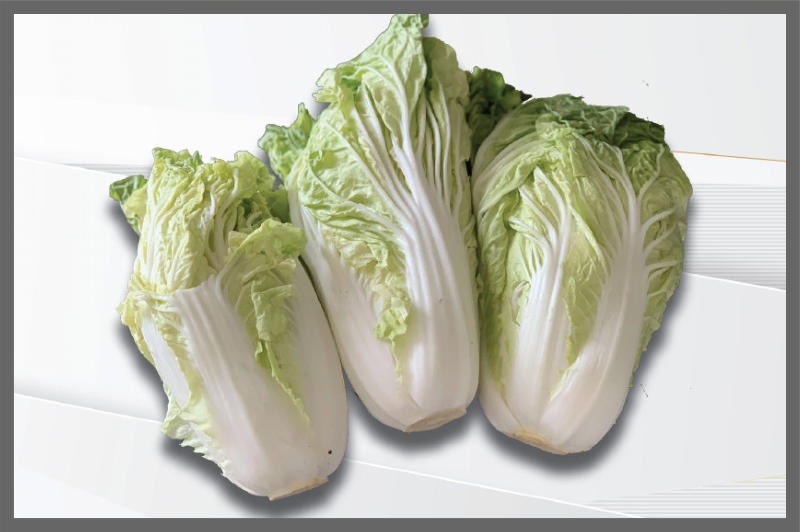 3372