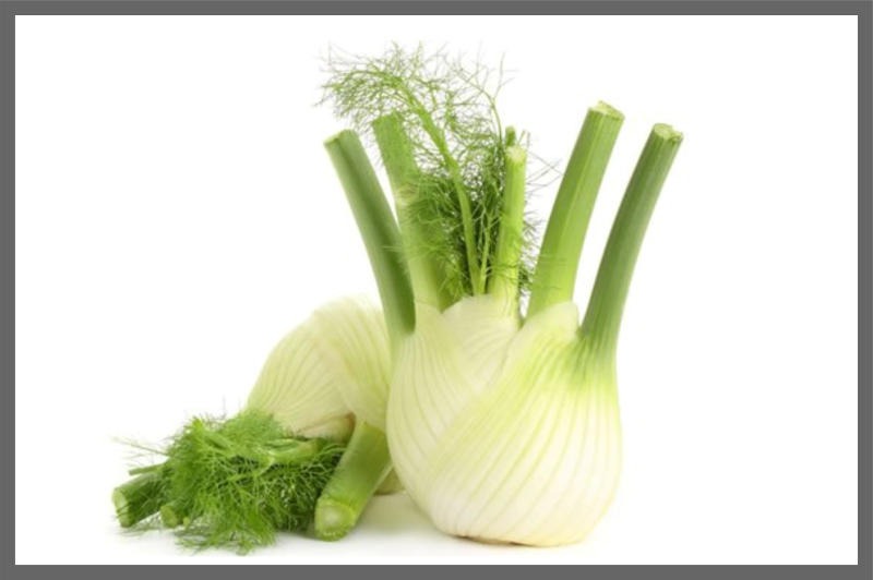 830